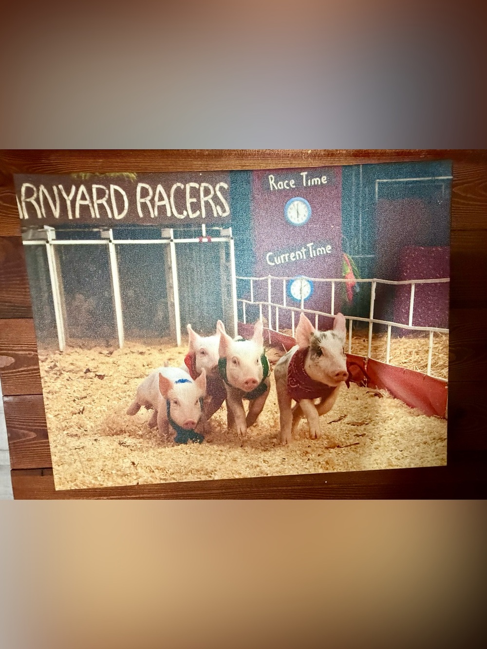 “Racing Piggies” 12x16 Canvas Wall Art Barnyard Farmhouse Pig Wall Art Decor